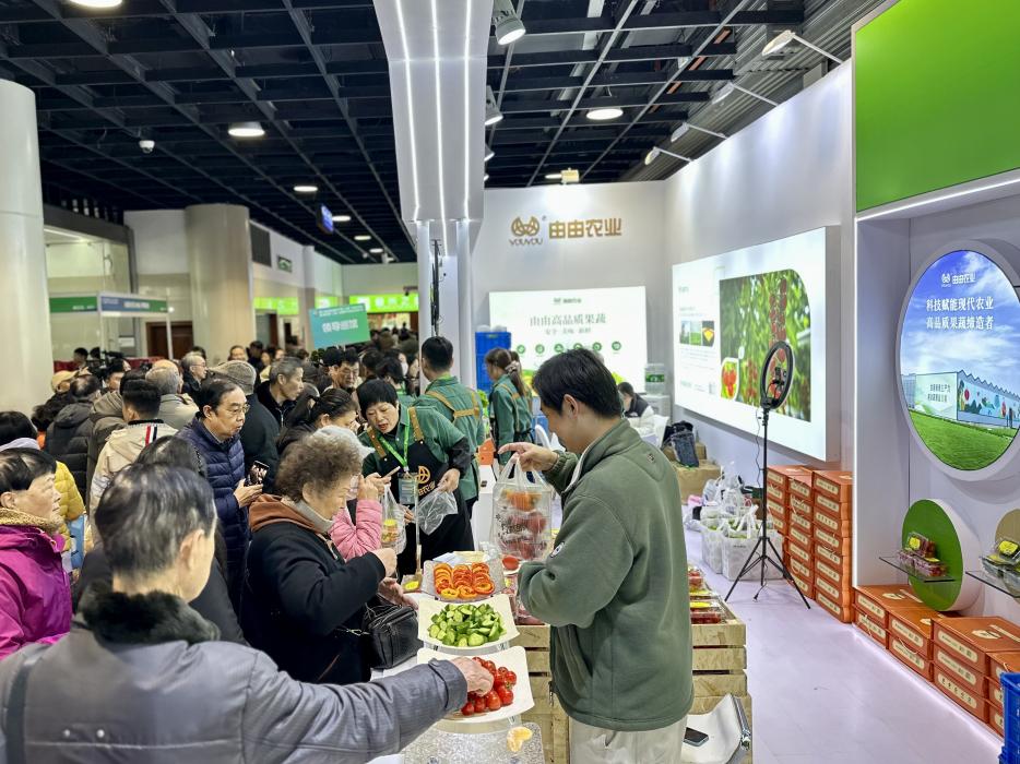 由由農(nóng)業(yè)亮相全國優(yōu)質(zhì)農(nóng)產(chǎn)品采購交流會 生菜墻引市民圍觀(圖2) 由由農(nóng)業(yè)亮相全國優(yōu)質(zhì)農(nóng)產(chǎn)品采購交流會 生菜墻引市民圍觀(圖2)